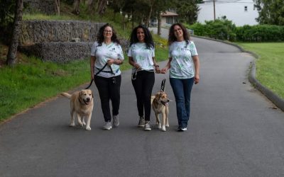 More Than a Walk; Why Professional Pet Care Matters
